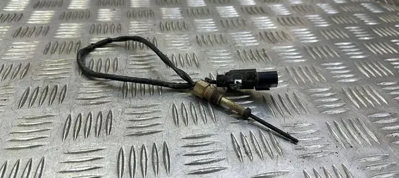 Exhaust gas temperature sensor
