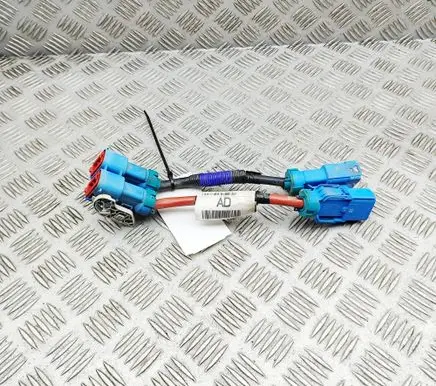 Land Rover Range Rover Evoque L551 Other wiring loom K8D214N166AD