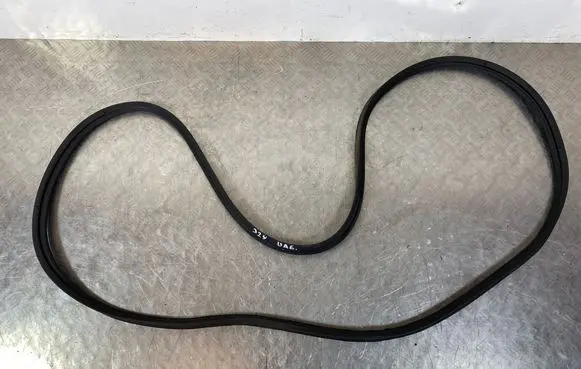 Trunk rubber seal (body)