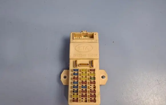 KIA Carnival Fuse box set