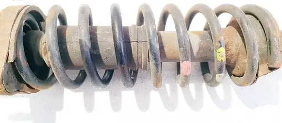 Rear coil spring
