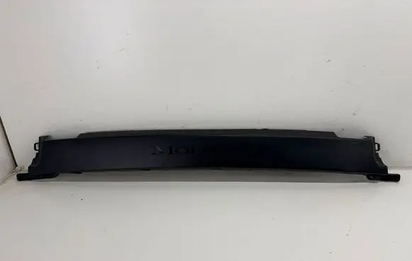 Tesla Model X Other rear door trim element 106009400D 106255000