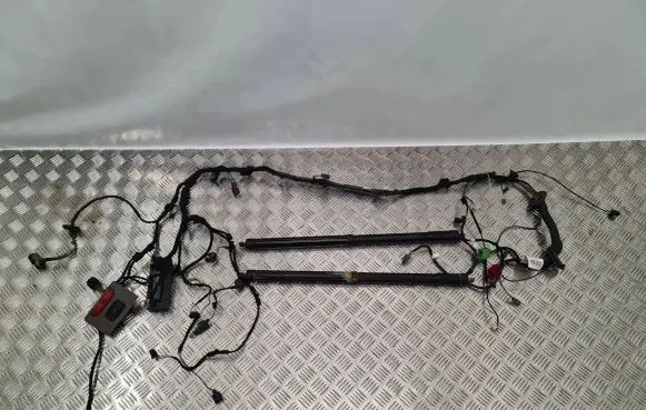 Tailgate strut
