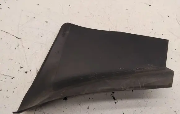 Rear/tail light trim molding