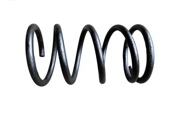 Rear coil spring