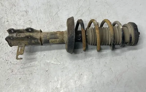 Opel Zafira C Front shock absorber with coil spring 13338924