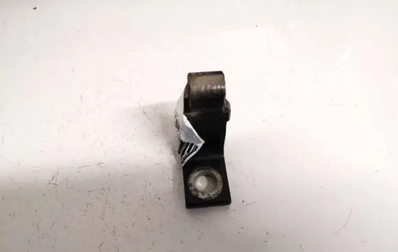 Seat Ibiza IV (6J,6P) Rear door lower hinge