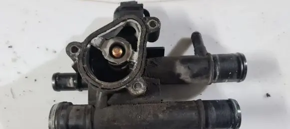 Thermostat/thermostat housing
