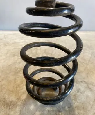 Rear coil spring