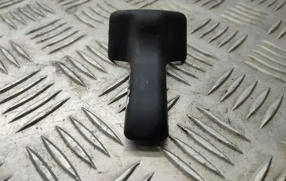 Other rear door trim element