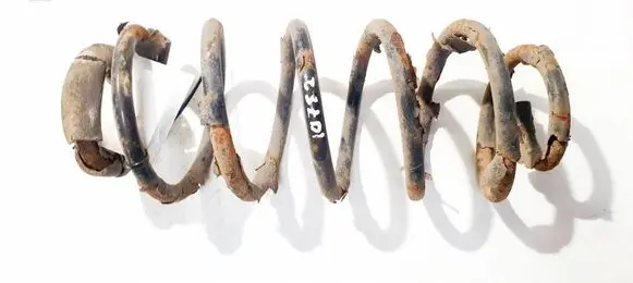 Rear coil spring