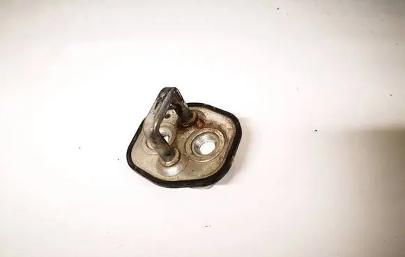 Citroen C4 I Front door lock loop/hook striker 
