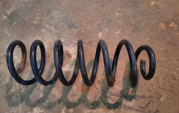 Volkswagen PASSAT B6 Rear coil spring NOCODE