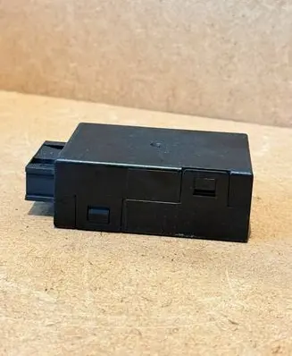 BMW X5 E53 Immobilizer control unit/module 110187 05103000