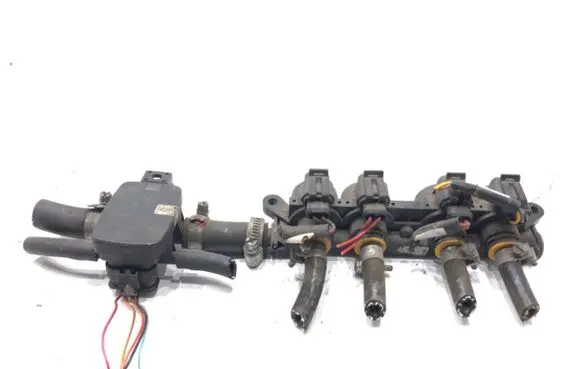 Peugeot 207 LP gas injector 110R-000123