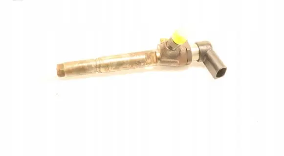 Renault Megane III Fuel injector