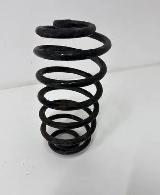 Rear coil spring