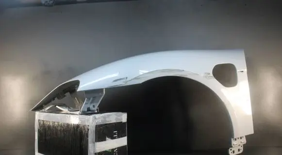 Porsche Taycan 9J1 Fender 9J1821467
