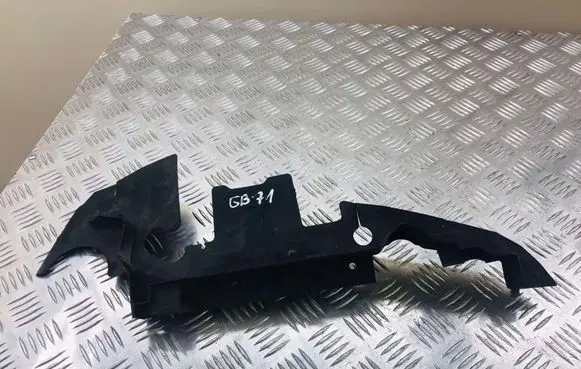 Audi A6 S6 C6 4F Radiator trim 4F0121283G