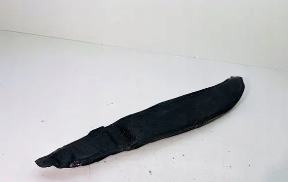 Tesla Model S Fender foam support/seal 
