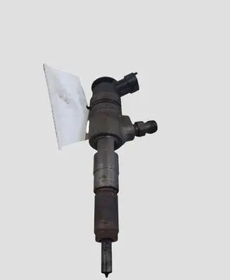 Citroen C3 Fuel injector 0445110252 565889