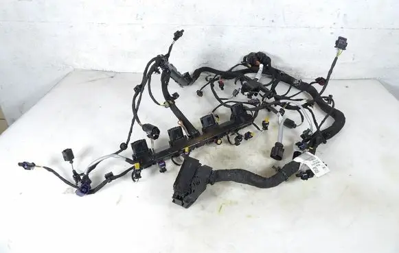 Other wiring loom