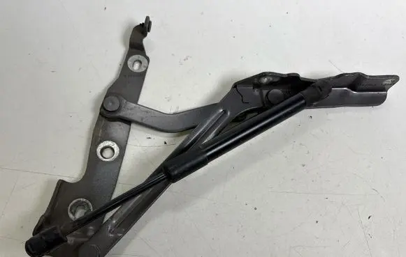 Ford Mustang V Tailgate/trunk/boot hinge 041D3A