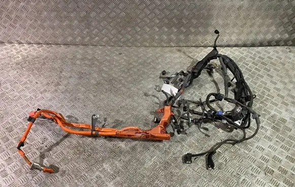 Lexus NX Engine installation wiring loom 8212178130