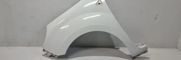 Renault Kangoo II Fender 631010288R