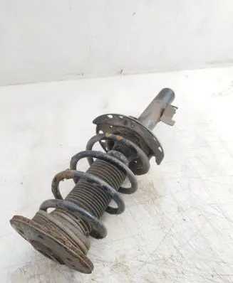 Ford S-MAX Front shock absorber with coil spring 6g9118k001 L1270061 SSA10129