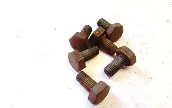 Renault Scenic I Nuts/bolts 