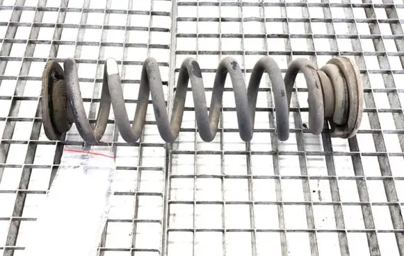 Rear coil spring