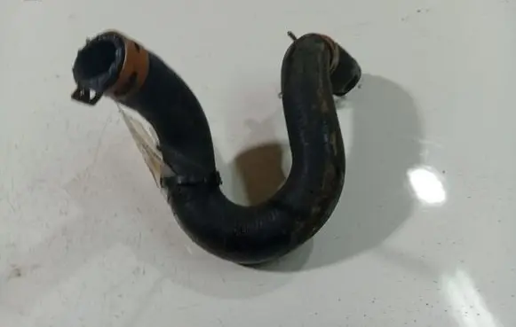 Renault Scenic I Engine coolant pipe/hose