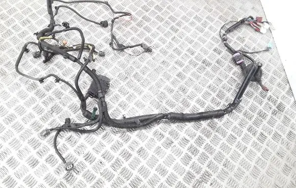 Honda FR-V Front door wiring loom