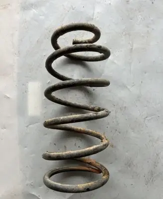Rear coil spring