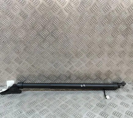 Citroen DS7 Crossback Tailgate/trunk strut/damper 9835674780