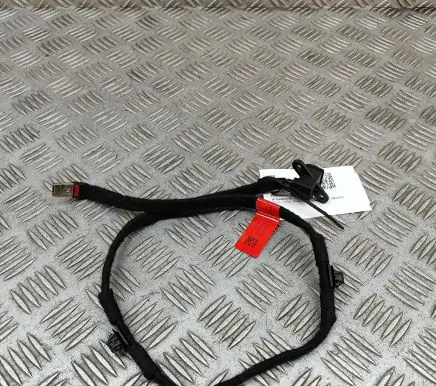 Tesla Model 3 Other wiring loom 159317401C