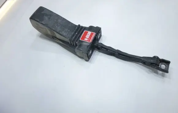 Volkswagen Touareg II Front door check strap stopper 7P0837249