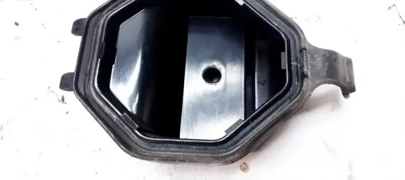 Volkswagen PASSAT B4 Headlight/headlamp dust cover 14199500