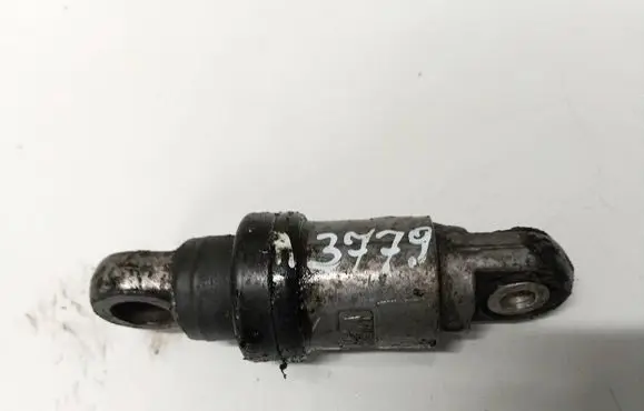 BMW 5 E39 Generator/alternator belt tensioner F821512