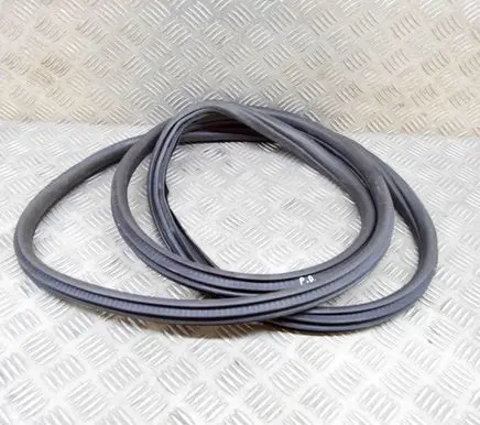BMW X3M F97 Rubber seal front door (on door) 7393423