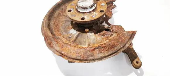 Volkswagen Golf Plus Rear wheel hub didzioji