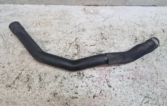 Mercedes-Benz B W245 Engine coolant pipe/hose A16950110 08L625412