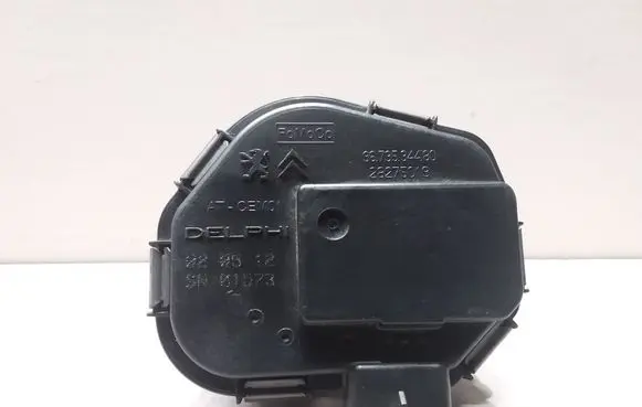 Peugeot 508 Throttle valve 9673534480