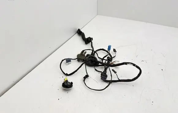 Audi Q2 - Front door wiring loom 81A971030AJ 19102018 TAB026205A0