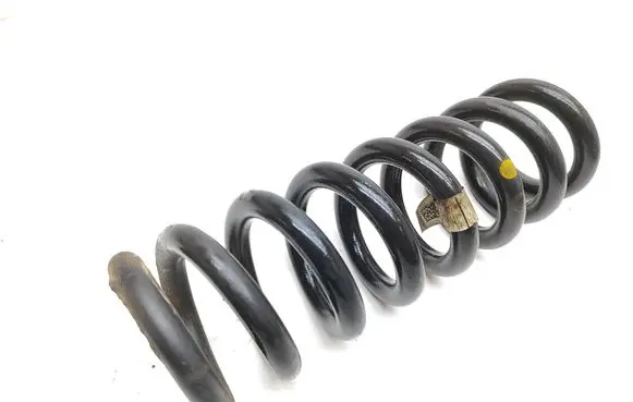 Rear coil spring