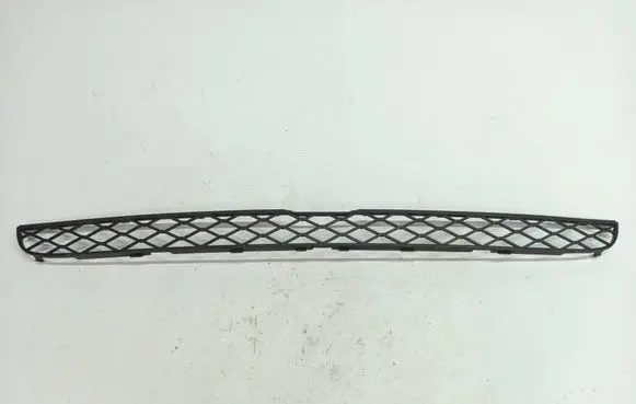 BMW X6 E71 Front bumper lower grill 7159597