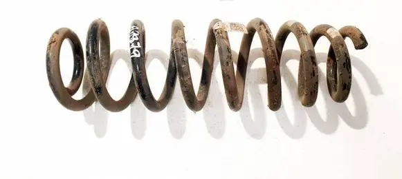 Hyundai Kona I Rear coil spring 