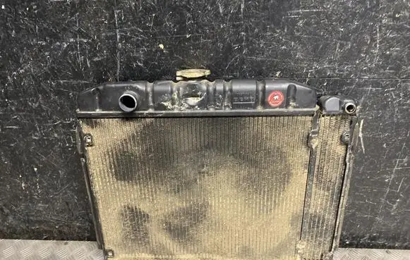 Mercedes-Benz 250 280 W108 Coolant radiator 1095010501