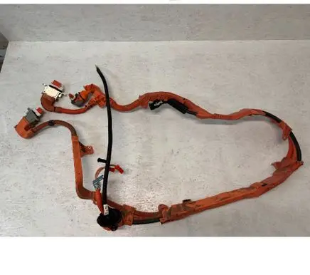 Toyota RAV 4 (XA50) Other wiring loom 821H142020 32935W 08310593